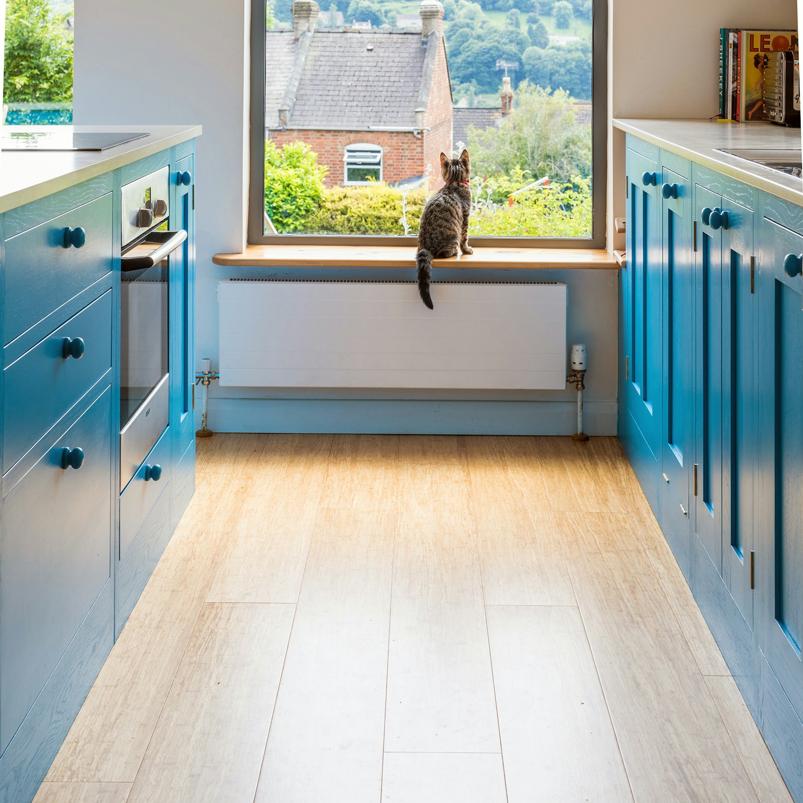 honest-kitchens_stroud-shaker