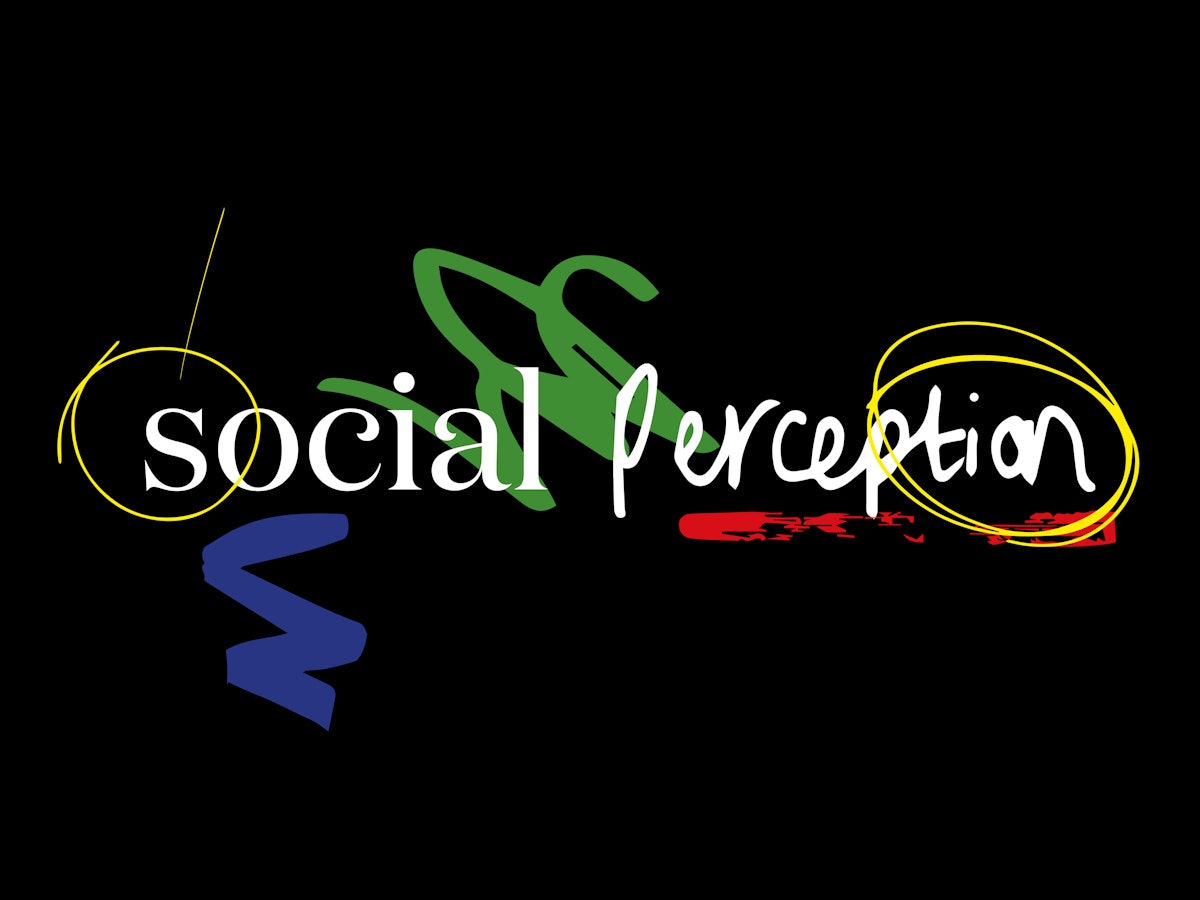 social-perception